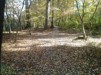 Vicksburg Recreation Area, Main course, Hole 5 Putt