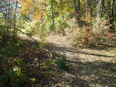 Vicksburg Recreation Area, Main course, Hole 8 