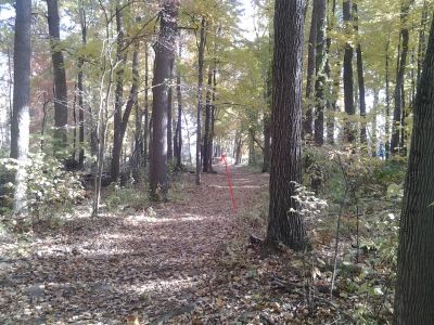 Vicksburg Recreation Area, Main course, Hole 6 Long tee pad