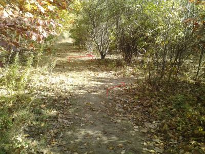 Vicksburg Recreation Area, Main course, Hole 11 