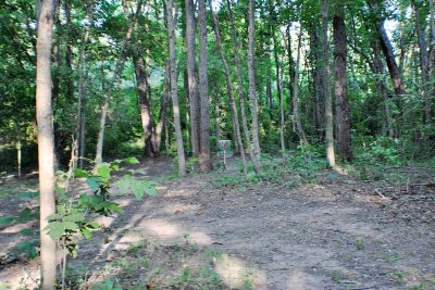 Vicksburg Recreation Area, Main course, Hole 13 Short approach