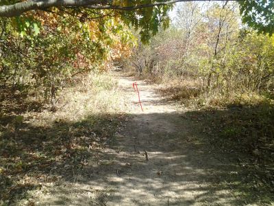 Vicksburg Recreation Area, Main course, Hole 10 