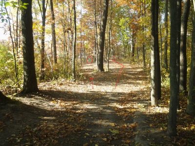 Vicksburg Recreation Area, Main course, Hole 2 Short approach