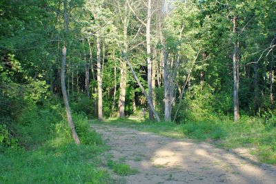 Vicksburg Recreation Area, Main course, Hole 12 Long approach