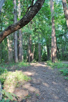 Vicksburg Recreation Area, Main course, Hole 13 Midrange approach