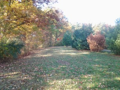 Vicksburg Recreation Area, Main course, Hole 1 Short approach