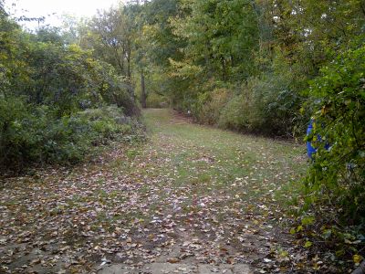 Mike Campbell ll Memorial DGC, Main course, Hole 2 Long tee pad