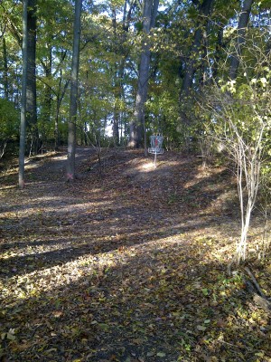 Mike Campbell ll Memorial DGC, Main course, Hole 7 Short approach