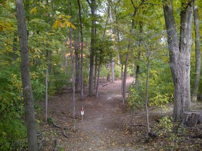 Mike Campbell ll Memorial DGC, Main course, Hole 7 Short tee pad