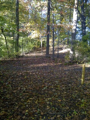 Mike Campbell ll Memorial DGC, Main course, Hole 8 Tee pad