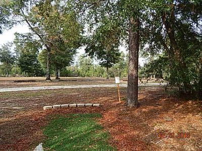 Anderson Pond, Bomber Run, Hole 14 Long tee pad