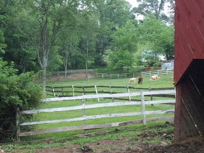 Simple Pleasures Farm, Simple Pleasures DGC, Hole 6 Tee pad