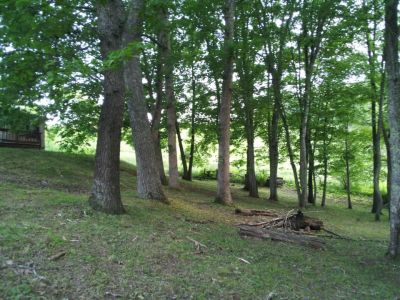 Simple Pleasures Farm, Simple Pleasures DGC, Hole 8 Midrange approach