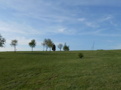 Herb Botts Memorial Park, Indian Mound DGC, Hole 17 Long approach