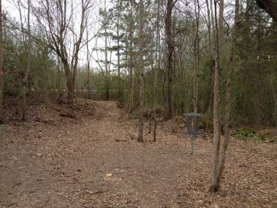 Greg Carter Memorial, Main course, Hole 7 Short approach