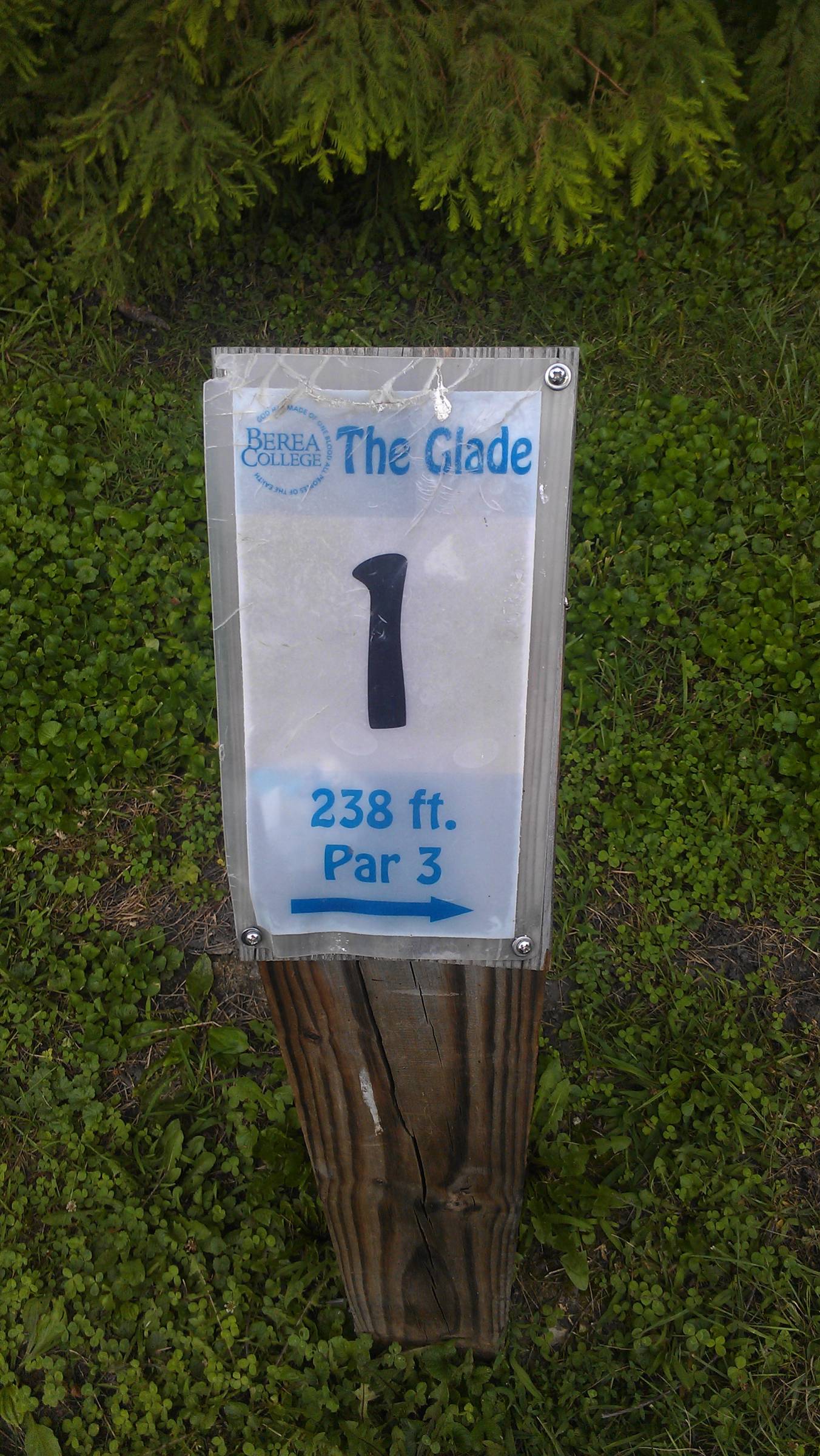 Hole 1 • Berea College Glade (Berea KY) Disc Golf Courses Disc