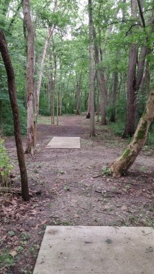 Hazel Landing Park, Main course, Hole 6 Long tee pad