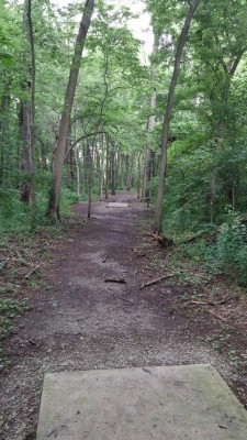 Hazel Landing Park, Main course, Hole 7 Long tee pad