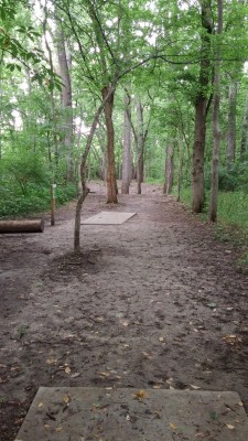 Hazel Landing Park, Main course, Hole 4 Long tee pad