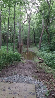 Hazel Landing Park, Main course, Hole 8 Long tee pad