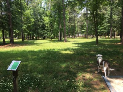 Frog Rock, Main course, Hole 9 Long tee pad