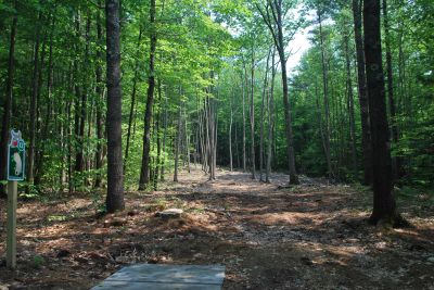 Moose Mountain Recreation, Main course, Hole 12 