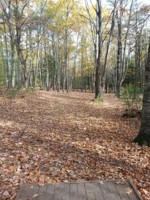 Woodland Valley, Black Bear, Hole 10 Tee pad