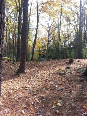 Woodland Valley, Black Bear, Hole 7 Short approach