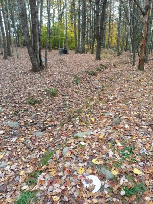 Woodland Valley, Black Bear, Hole 11 Short approach