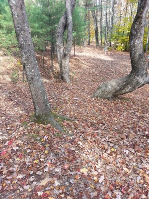 Woodland Valley, Black Bear, Hole 8 Short approach