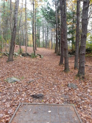 Woodland Valley, Black Bear, Hole 12 Tee pad