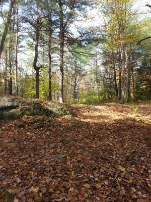 Woodland Valley, Black Bear, Hole 2 Short approach