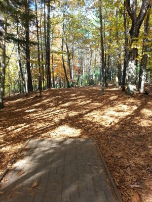 Woodland Valley, Black Bear, Hole 6 Tee pad