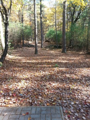 Woodland Valley, The Grizzly, Hole 11 Tee pad