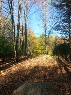 Woodland Valley, The Grizzly, Hole 3 Tee pad