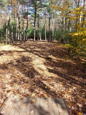 Woodland Valley, The Grizzly, Hole 8 Tee pad