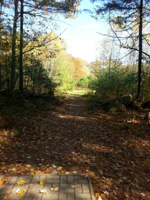 Woodland Valley, The Grizzly, Hole 15 Tee pad