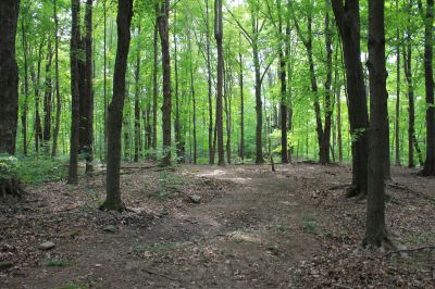 Centerville Mills Park, Main course, Hole 4 Long approach