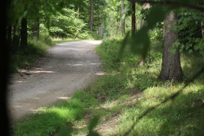 Centerville Mills Park, Main course, Hole 2 Long approach