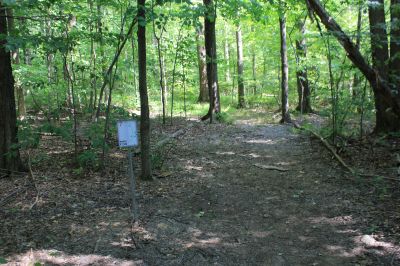 Centerville Mills Park, Main course, Hole 7 Tee pad