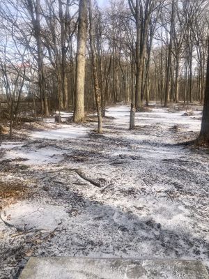 Richland Township Park, Main course, Hole 15 Tee pad