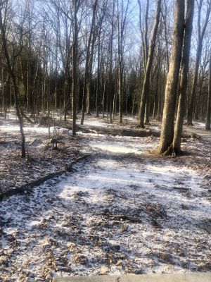 Richland Township Park, Main course, Hole 4 Short tee pad