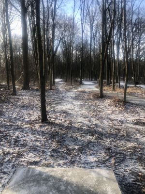 Richland Township Park, Main course, Hole 4 Long tee pad