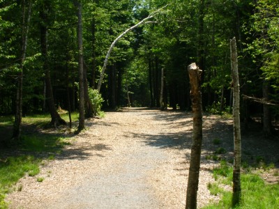 Sabattus DGC, Hawk, Hole 9 Tee pad