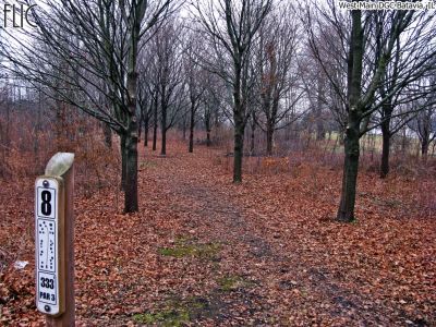 West Main Park, Main course, Hole 8 Tee pad