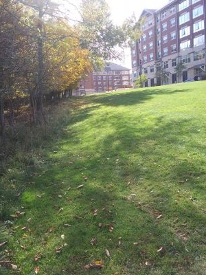 Binghamton University DGC, Main course, Hole 9 Tee pad