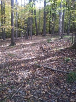 Binghamton University DGC, Main course, Hole 12 Tee pad