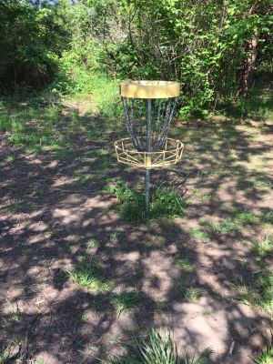 Wheatland DGC @ Willamette Mission State Park, Wheatland DGC, Hole 1 Putt