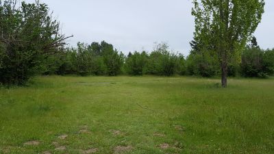 Wheatland DGC @ Willamette Mission State Park, Wheatland DGC, Hole 14 Long approach