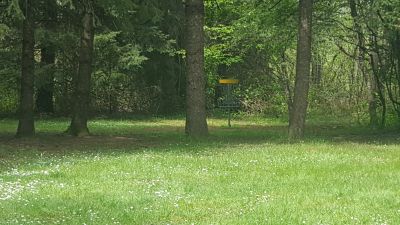 Wheatland DGC @ Willamette Mission State Park, Wheatland DGC, Hole 3 Short approach